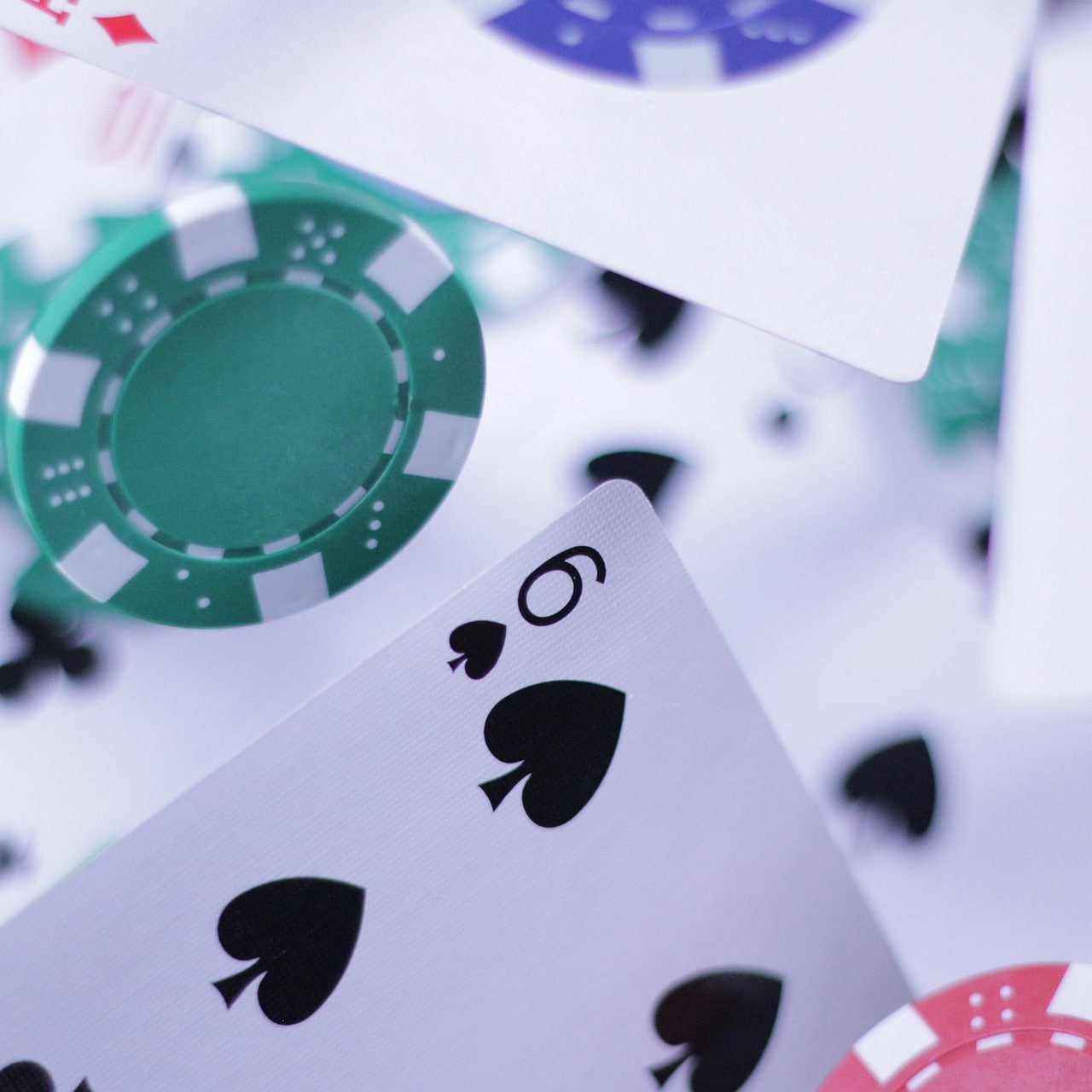 Pengguna menelusuri info winid di ponsel